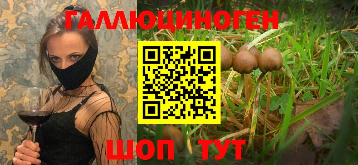Ивантеевка  Галлюциногенные грибы GOLDEN TEACHER  Вход с VPN 