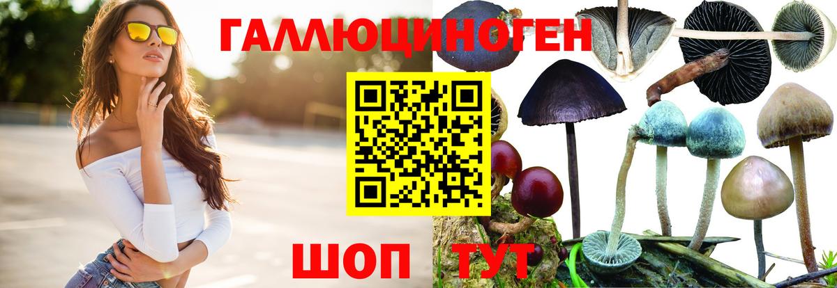 Псилоцибиновые грибы GOLDEN TEACHER Ивантеевка